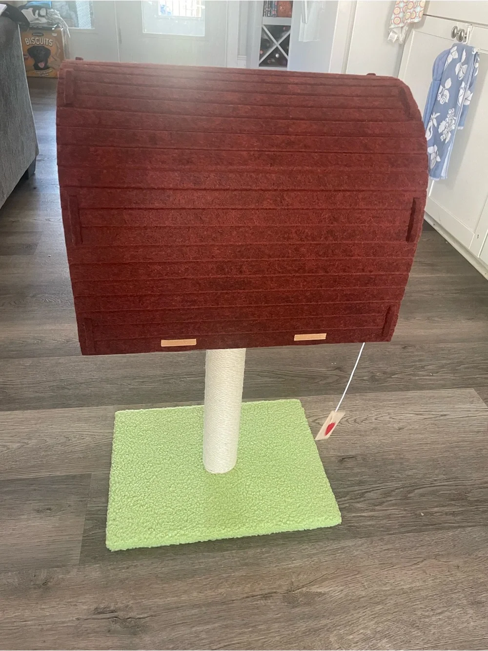 Mailbox Cat Scratcher - Green Base, Brown Mailbox
